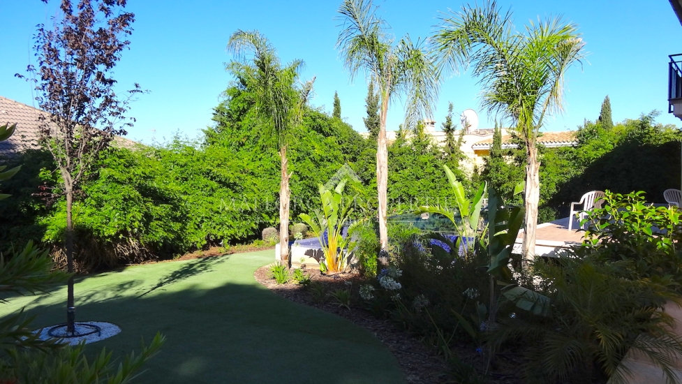 property-for-sale-in-mallora-magalluf-calvia--MP-1035-05-20250428083205.jpg
