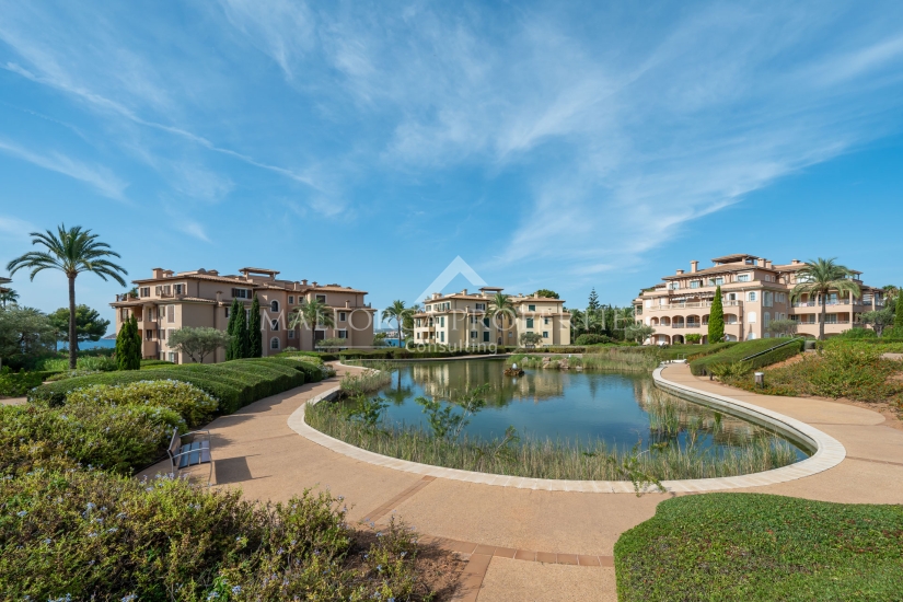 property-for-sale-in-mallora-costa-d-en-blanes-calvia--MP-1663-13-20250912162611.jpg