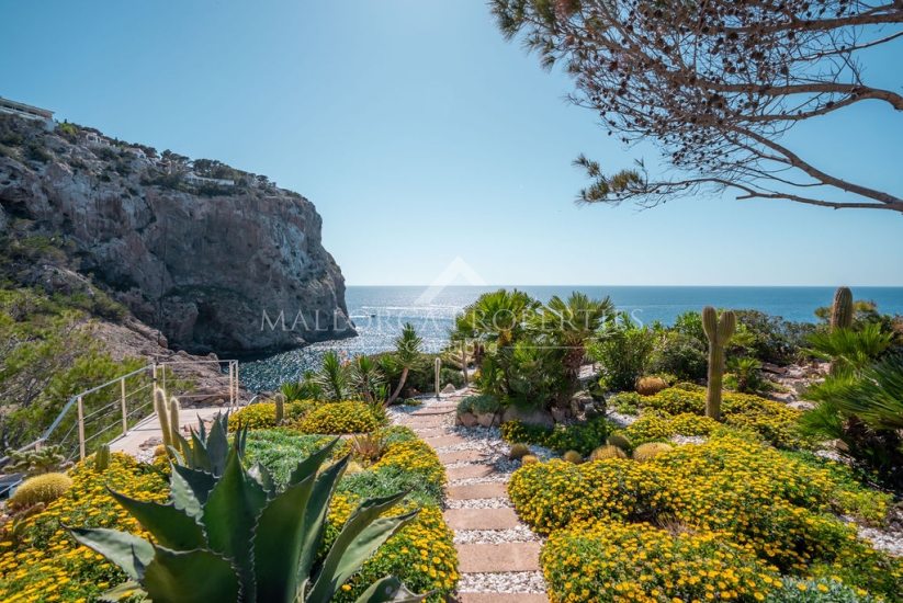 property-for-sale-in-mallora-la-mola-andratx--MP-1666-24-20250509091123.jpg