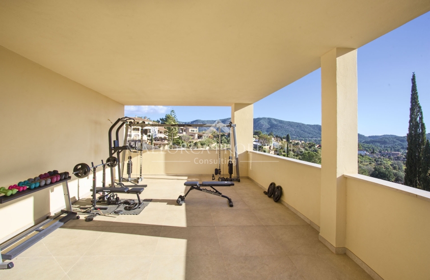 property-for-sale-in-mallora-calvia-calvia--MP-1670-16-20250805112635.jpg