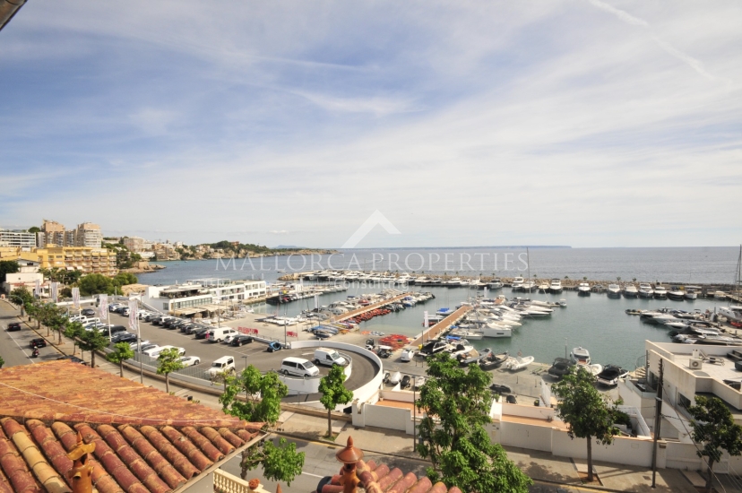 property-for-sale-in-mallora-san-agustin-palma--MP-1679-23-20250923085633.jpeg