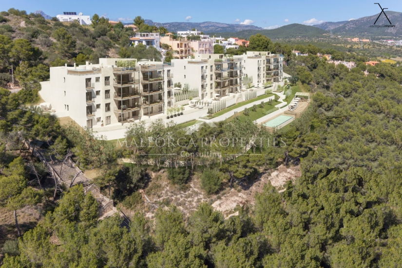 property-for-sale-in-mallora-santa-ponsa-calvia--MP-1688-01-20260919084604.jpg