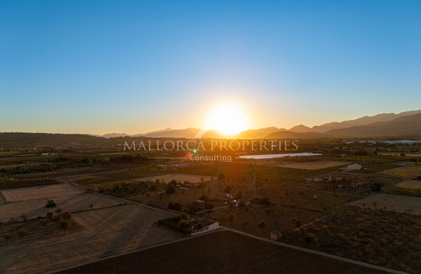 property-for-sale-in-mallora-santa-maria-del-cami-santa-maria--MP-1705-27-20251002110144.jpg