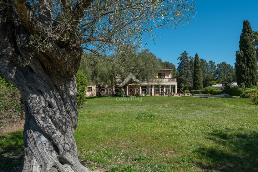 property-for-sale-in-mallora-son-vida-palma--MP-1722-11-20251007114716.jpg