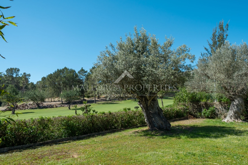 property-for-sale-in-mallora-son-vida-palma--MP-1722-18-20250827092631.jpg