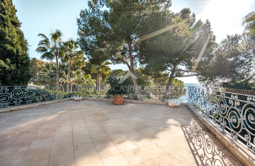 property-for-sale-in-mallora-portals-nous-calvia--MP-1723-10-20250626152621.jpg