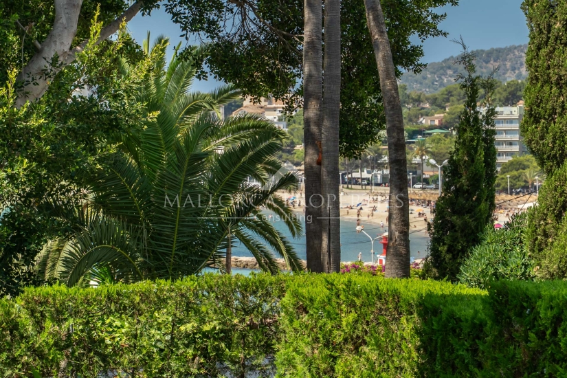 property-for-sale-in-mallora-palmanova-calvia--MP-1734-14-20260501094125.jpg