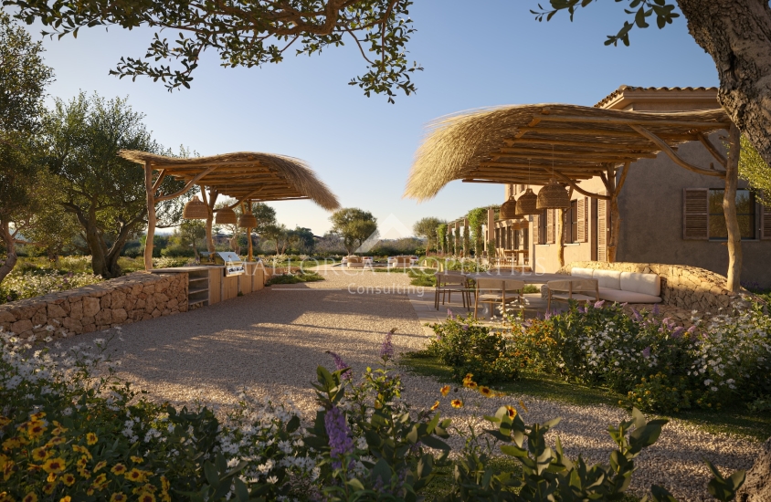 property-for-sale-in-mallora-santa-maria-del-cami-santa-maria--MP-1738-13-20260508082125.jpg