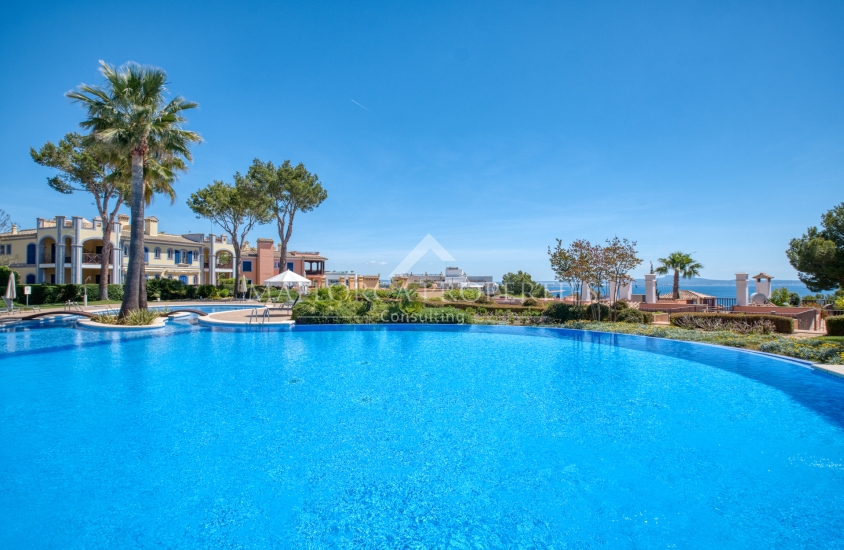 property-for-sale-in-mallora-bendinat-calvia--MP-1741-22-20250910092726.jpg