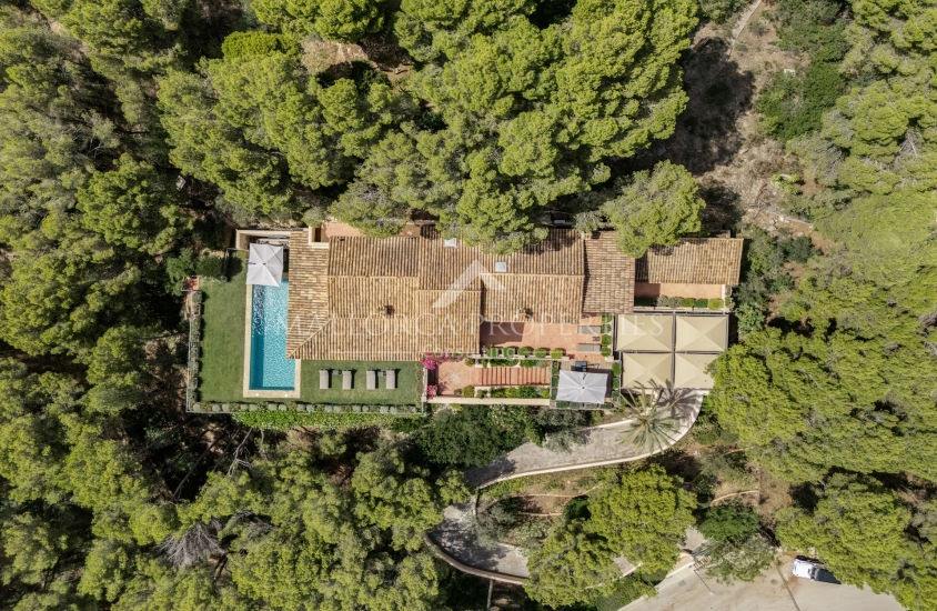 property-for-sale-in-mallora-camp-de-mar-andratx--MP-1742-23-20250904100139.jpg