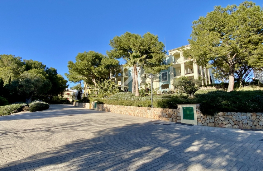 property-for-sale-in-mallora-bendinat-calvia--MP-1746-05-20250917115134.jpg