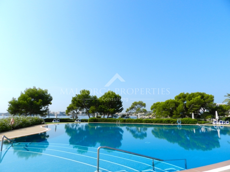 property-for-sale-in-mallora-costa-d-en-blanes-calvia--MP-1761-25-20260309120144.jpg