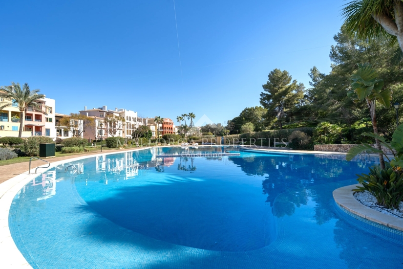 property-for-sale-in-mallora-bendinat-calvia--MP-1764-00-20260826114222.jpg