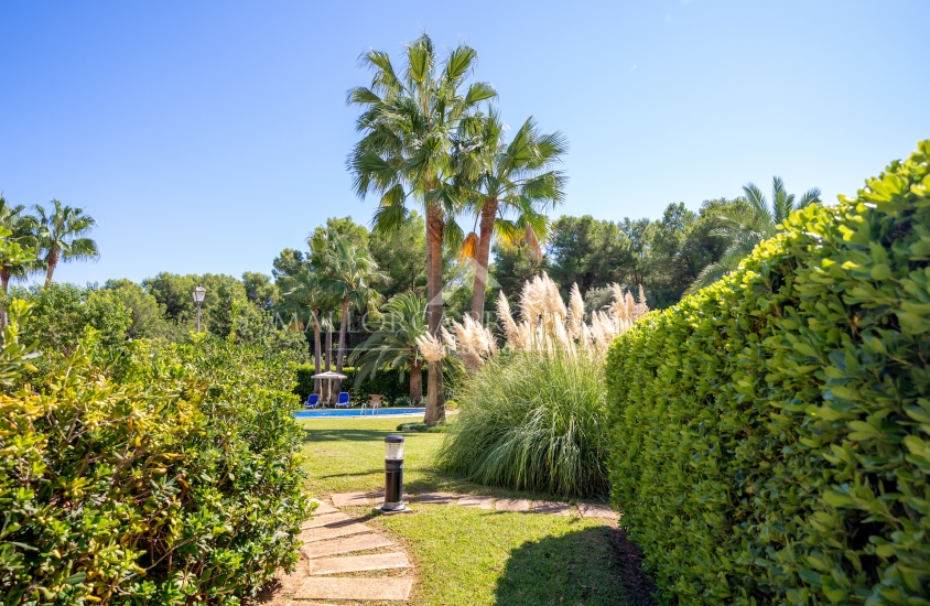 property-for-sale-in-mallora-bendinat-calvia--MP-1764-20-20260826114309.jpg