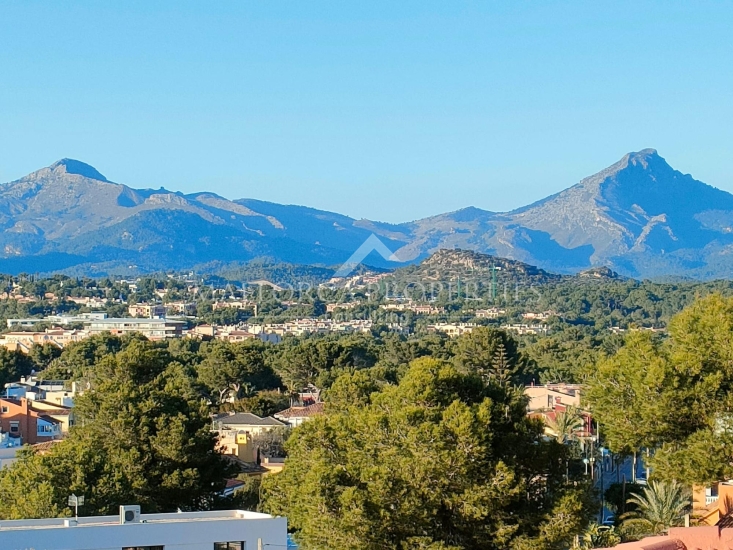property-for-sale-in-mallora-el-toro-calvia--MP-1766-02-20260501105105.jpg