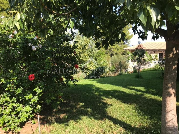property-for-sale-in-mallora-el-toro-calvia--MP-1766-17-20260501105128.jpg