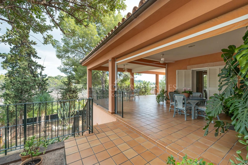 property-for-sale-in-mallora-portals-nous-calvia--MP-1767-01-20260820104105.jpg