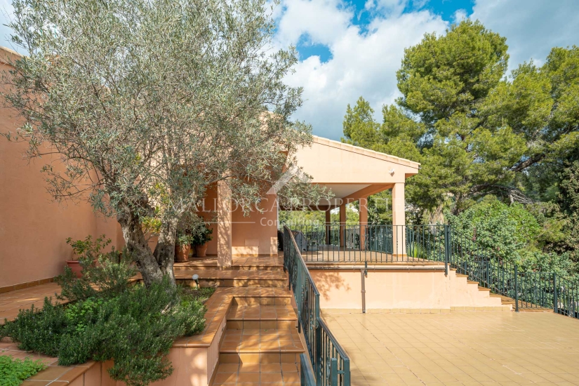 property-for-sale-in-mallora-portals-nous-calvia--MP-1767-19-20260820104150.jpg