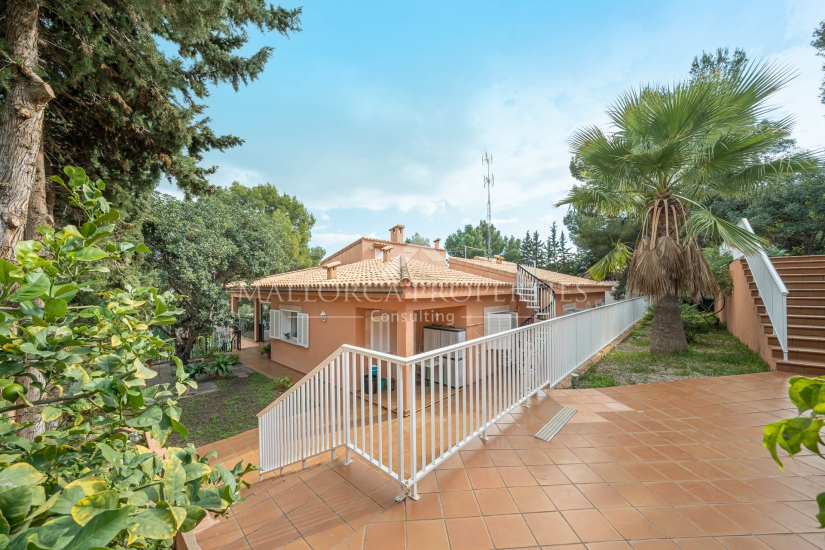 property-for-sale-in-mallora-portals-nous-calvia--MP-1767-21-20260820104155.jpg