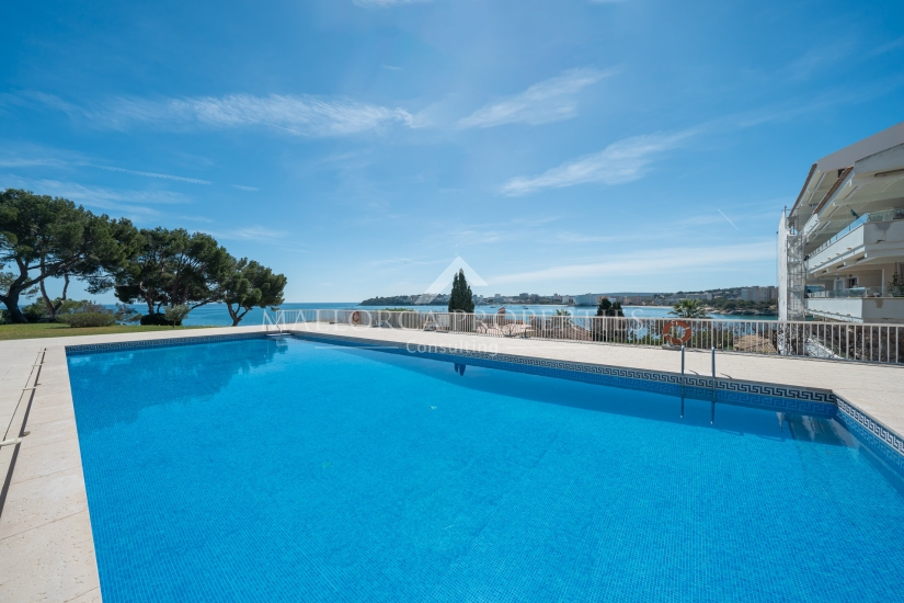 property-for-sale-in-mallora-palmanova-calvia--MP-1776-02-20260919074107.jpg